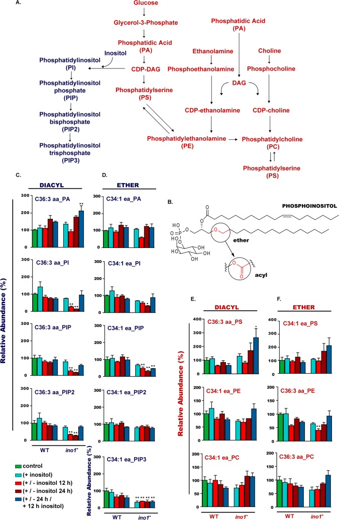 FIG 4