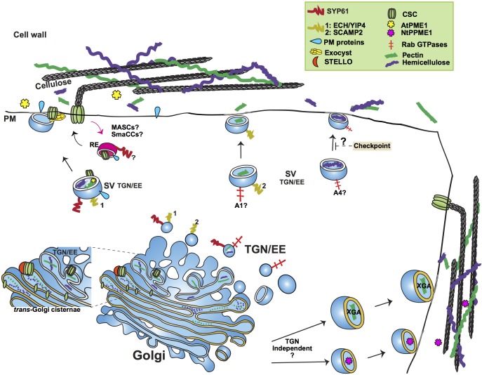 FIGURE 1