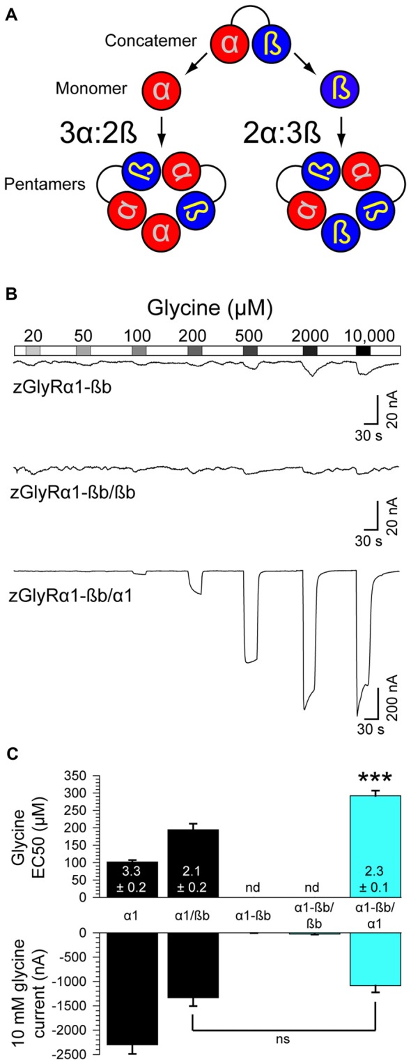 Figure 8