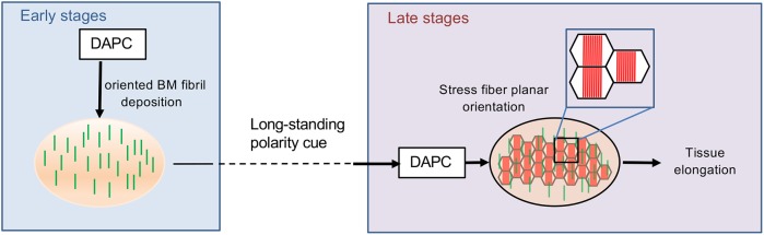 Fig. 8.