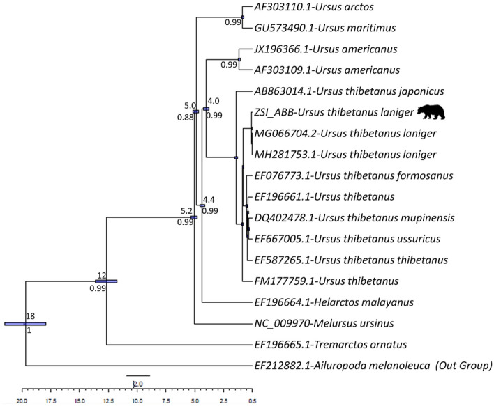 Figure 6