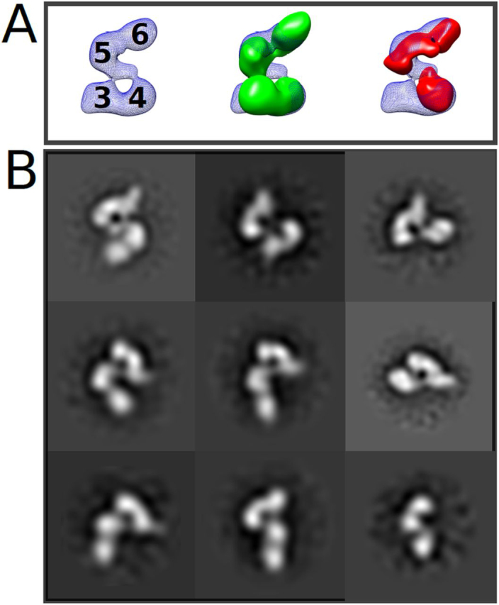 Figure 6