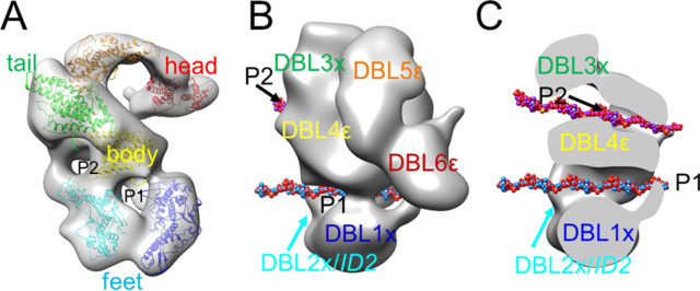 Figure 7