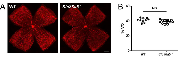 Figure 4—figure supplement 1.