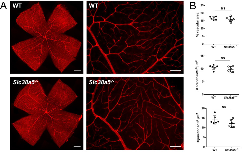 Figure 3—figure supplement 2.