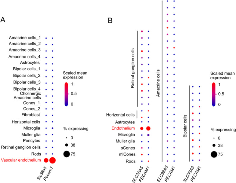 Figure 1—figure supplement 1.