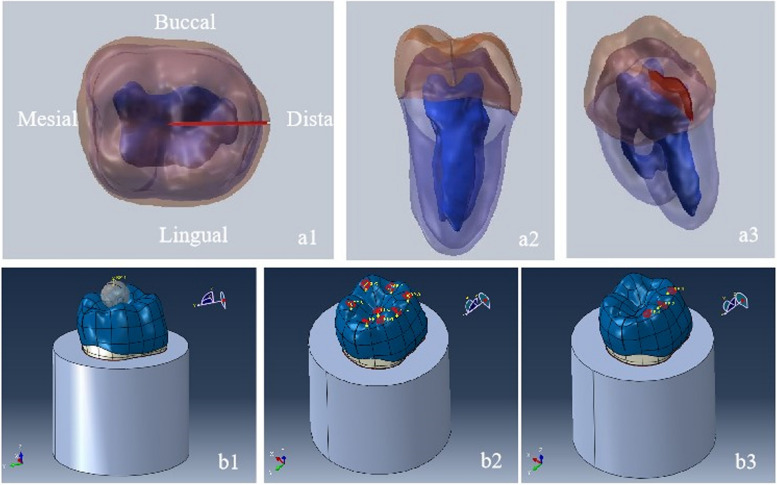 Fig. 1