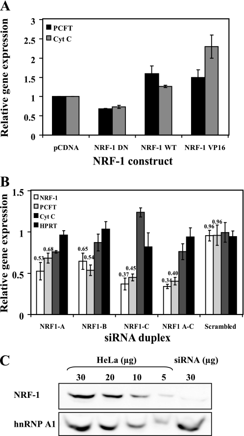 FIGURE 4.