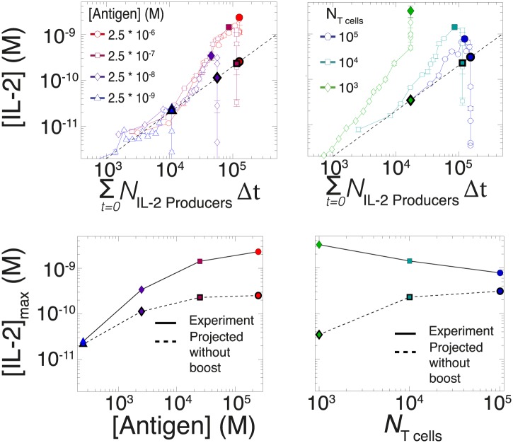 Figure 7—figure supplement 1.