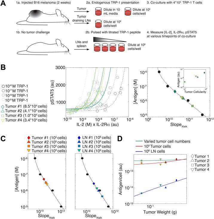 Figure 11.