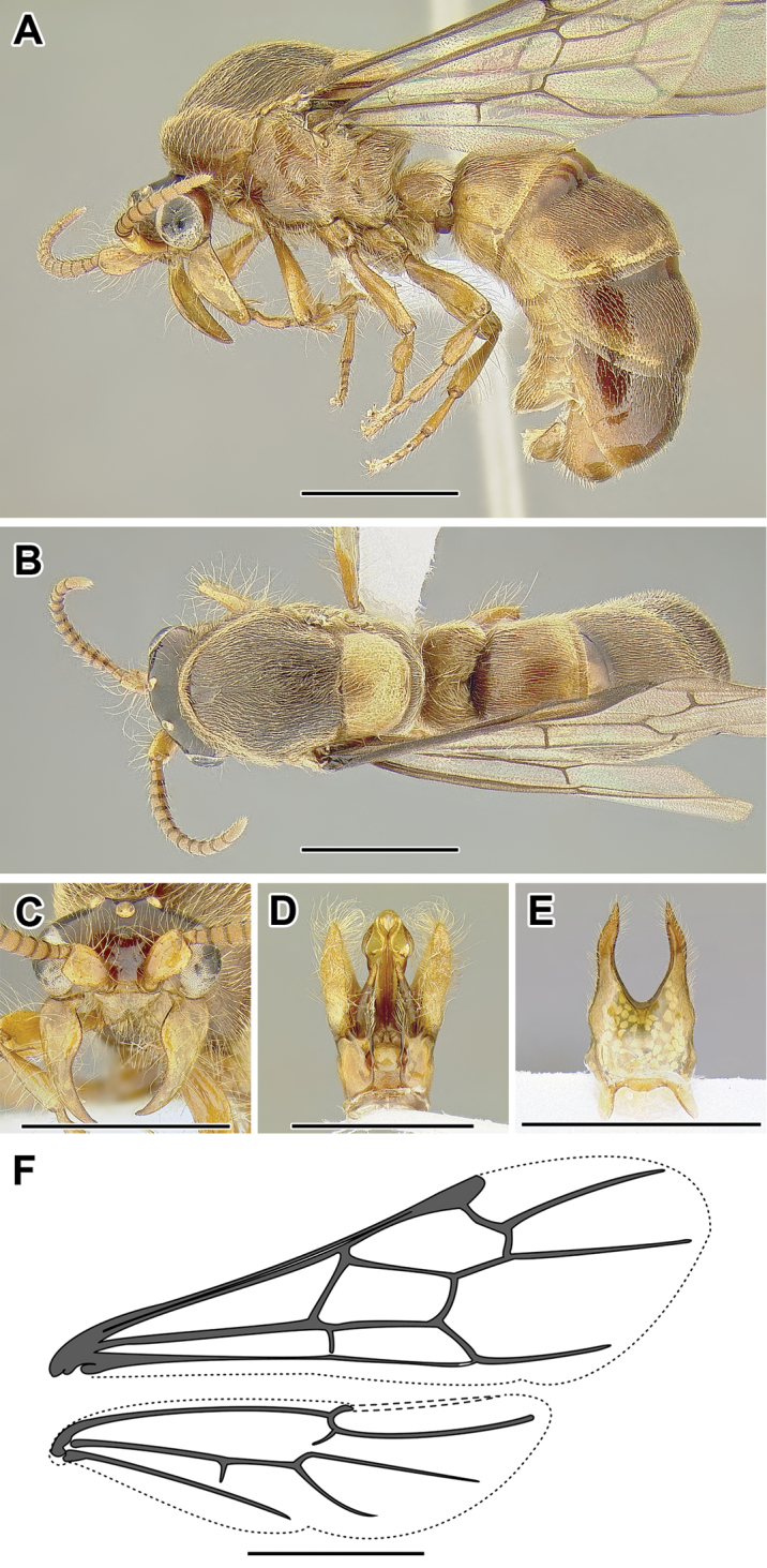 Figure 10.