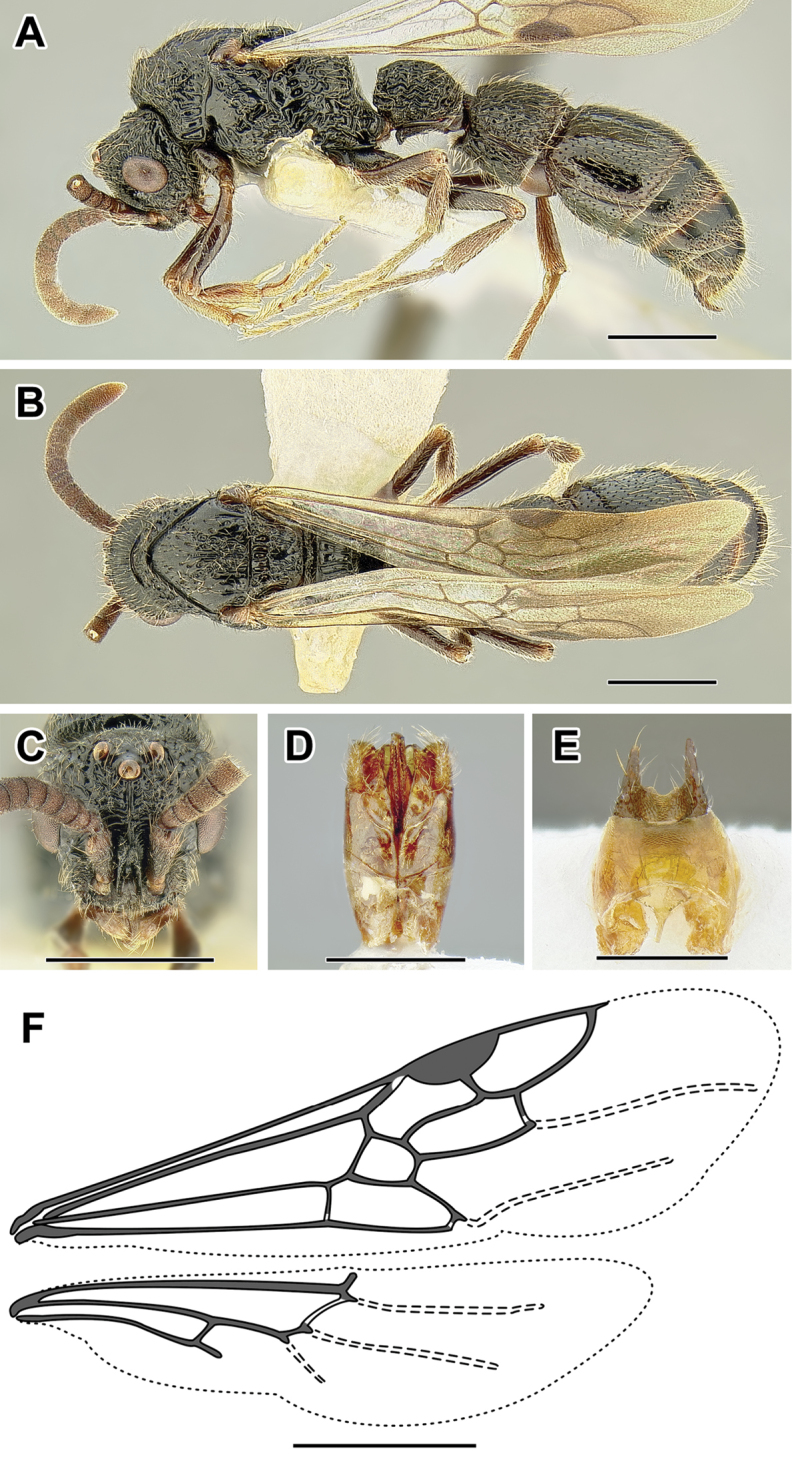 Figure 17.