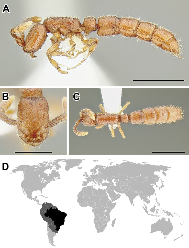 Figure 51.