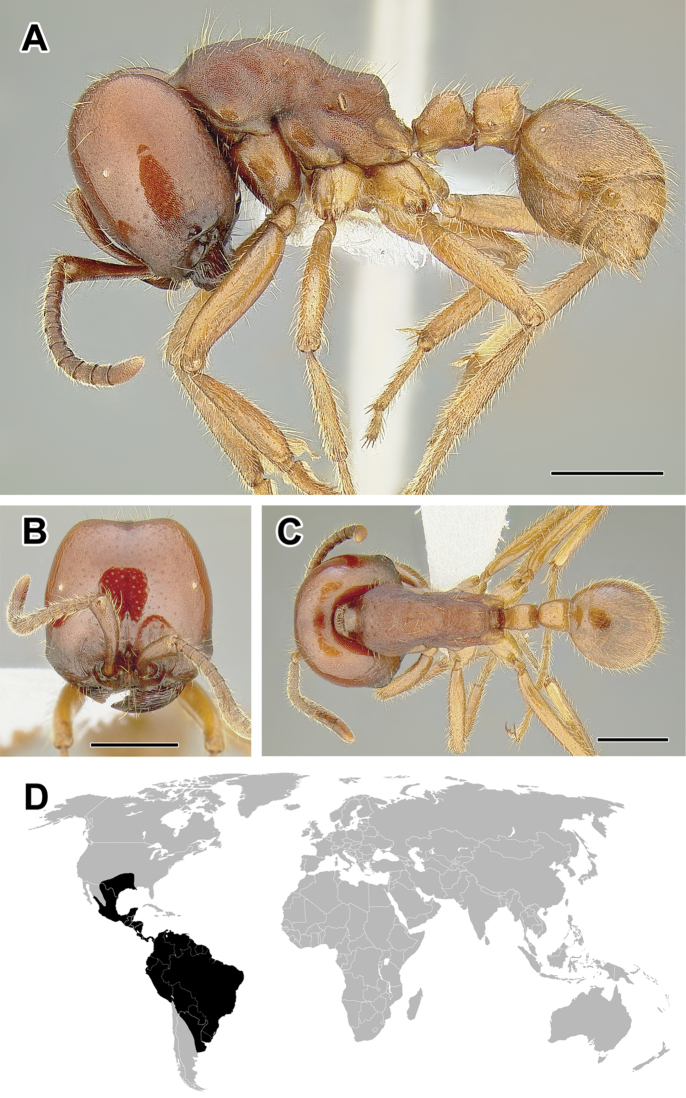 Figure 28.