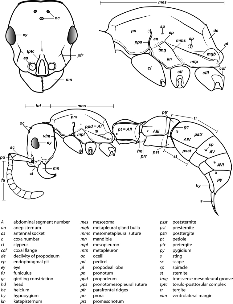 Figure 2.