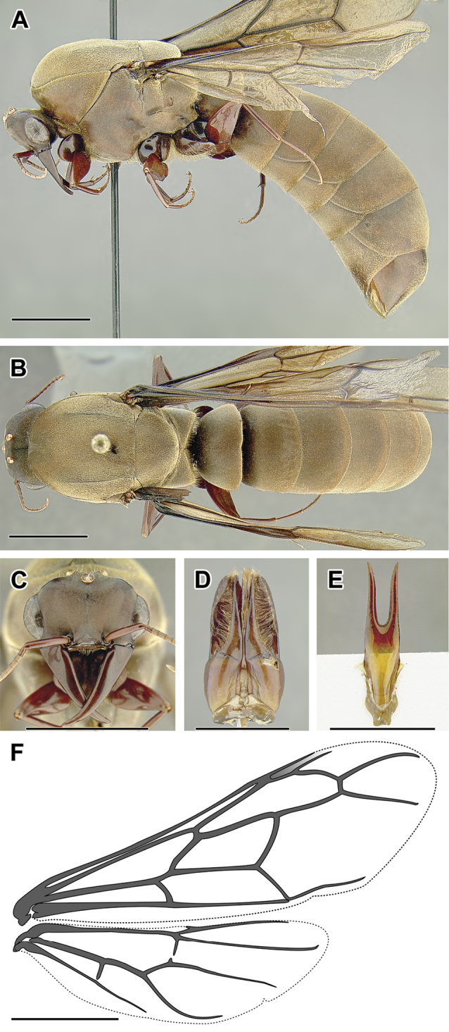 Figure 21.