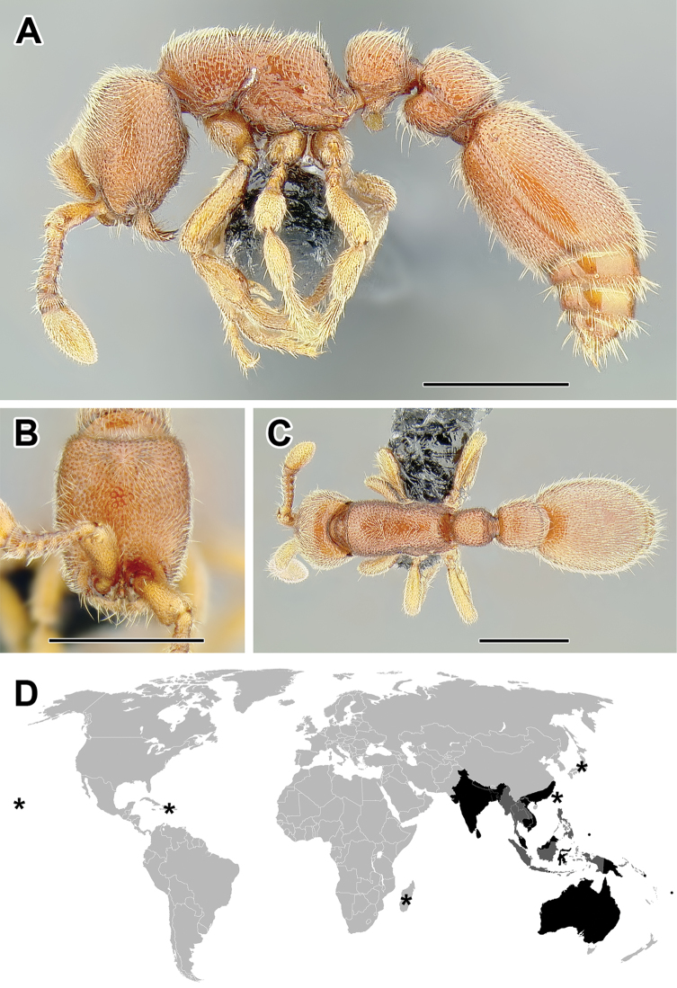 Figure 44.