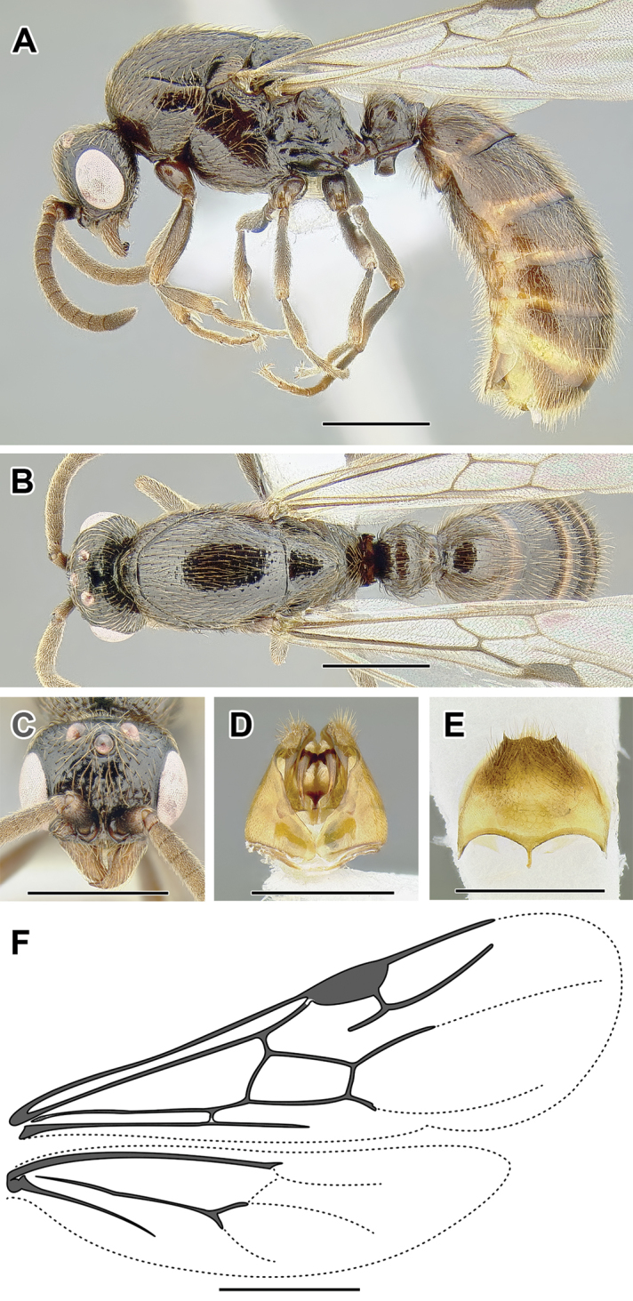 Figure 59.