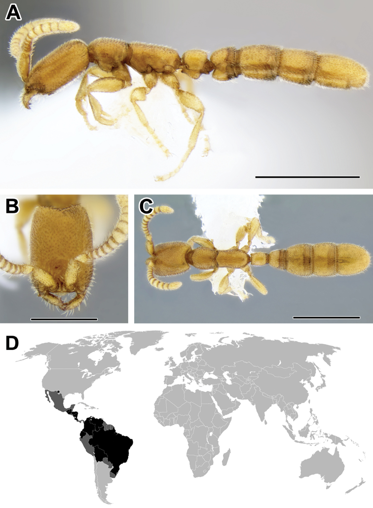 Figure 30.