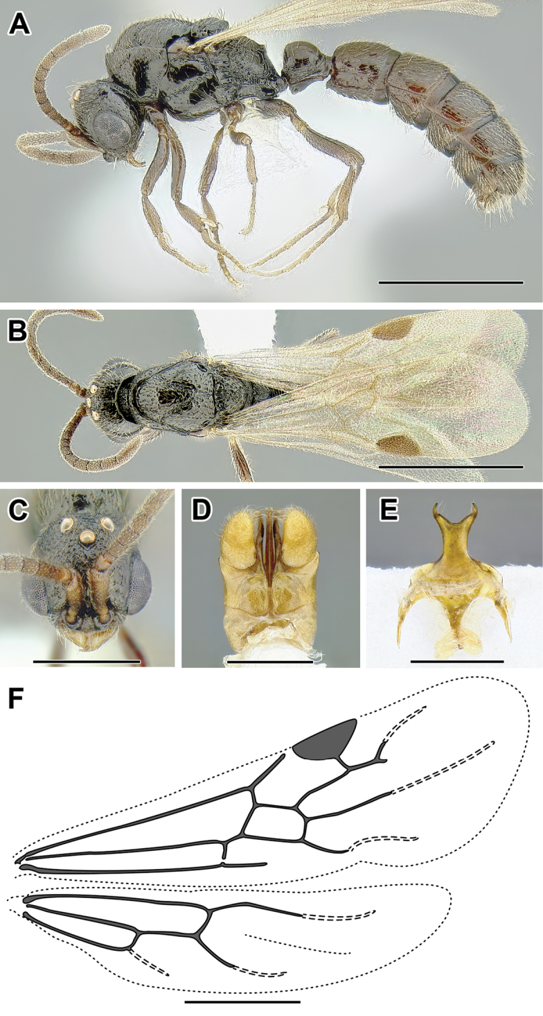 Figure 61.