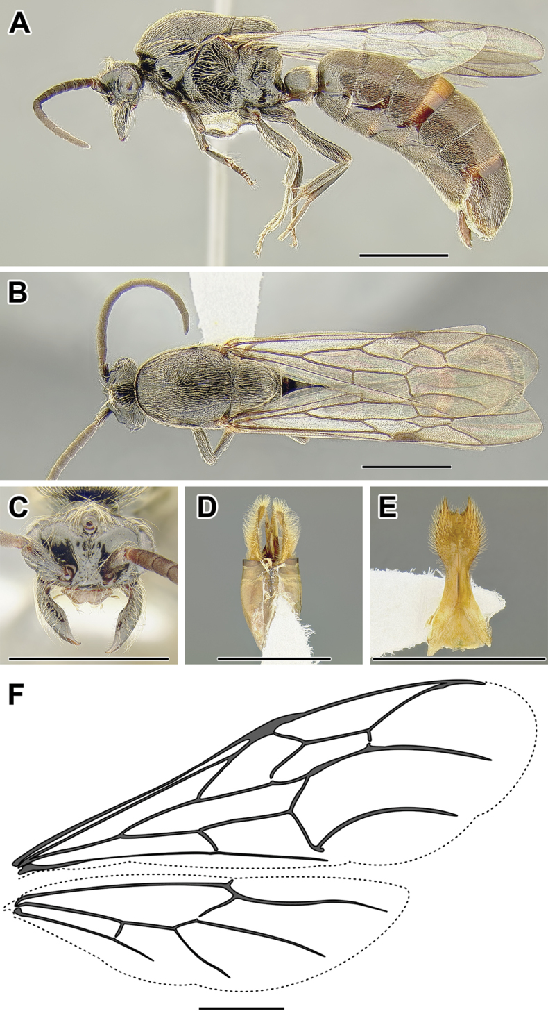 Figure 38.