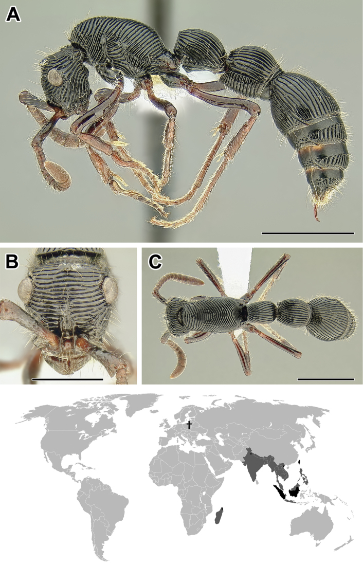 Figure 16.