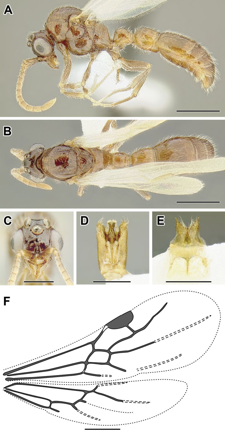 Figure 47.