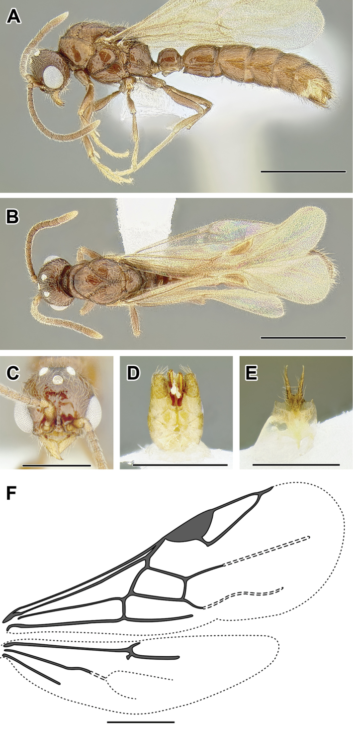 Figure 52.