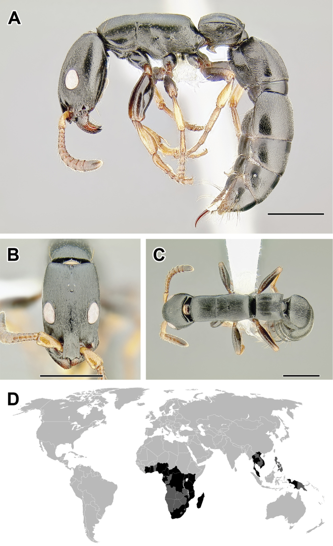 Figure 49.