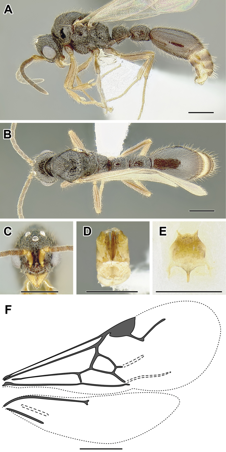 Figure 45.