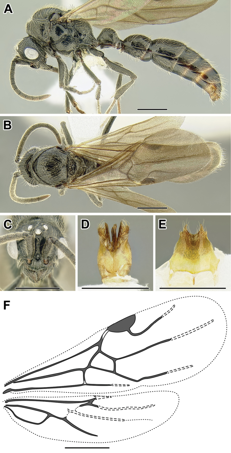 Figure 33.