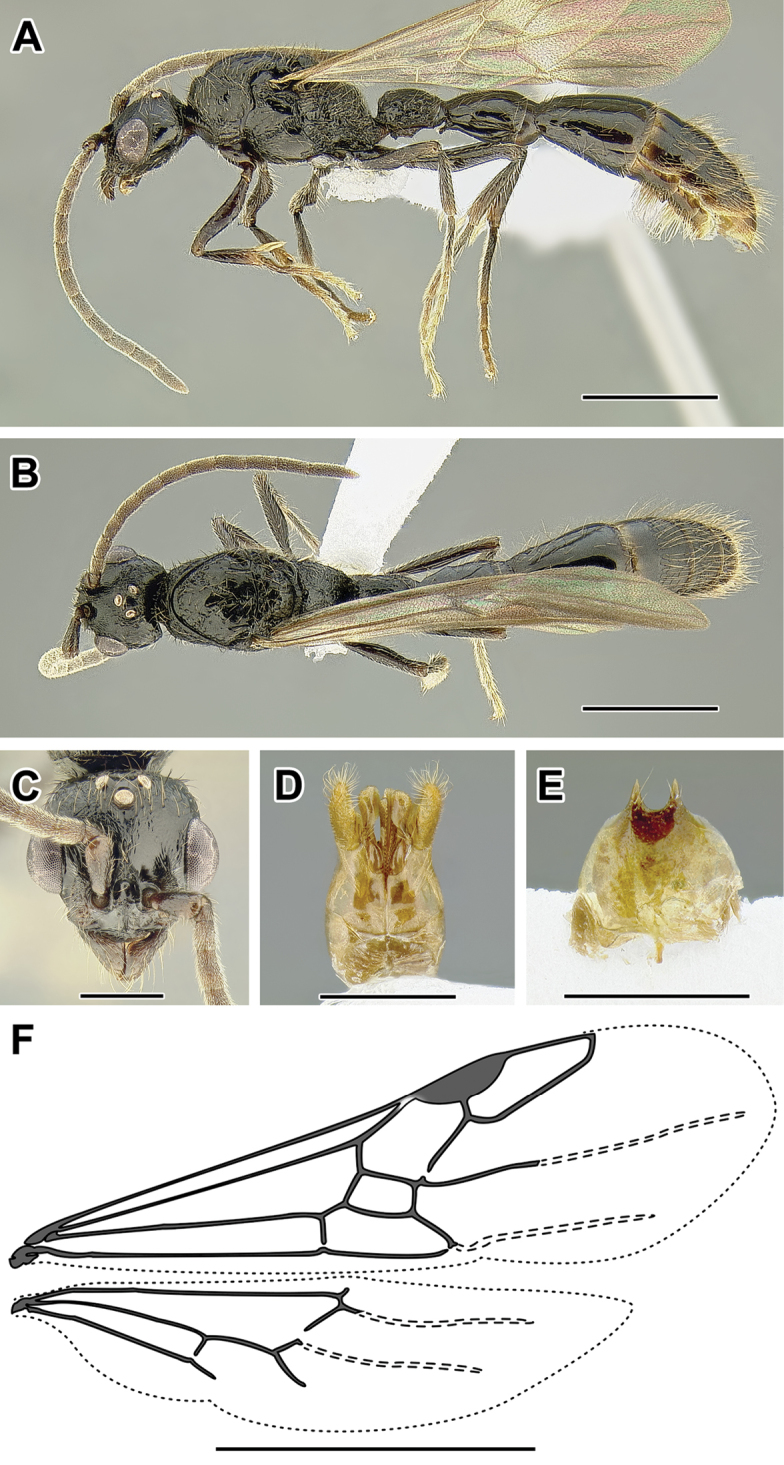 Figure 13.