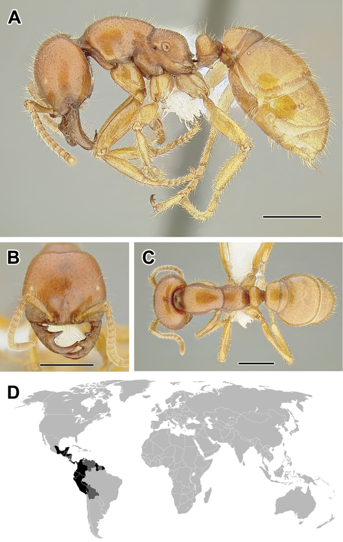 Figure 14.