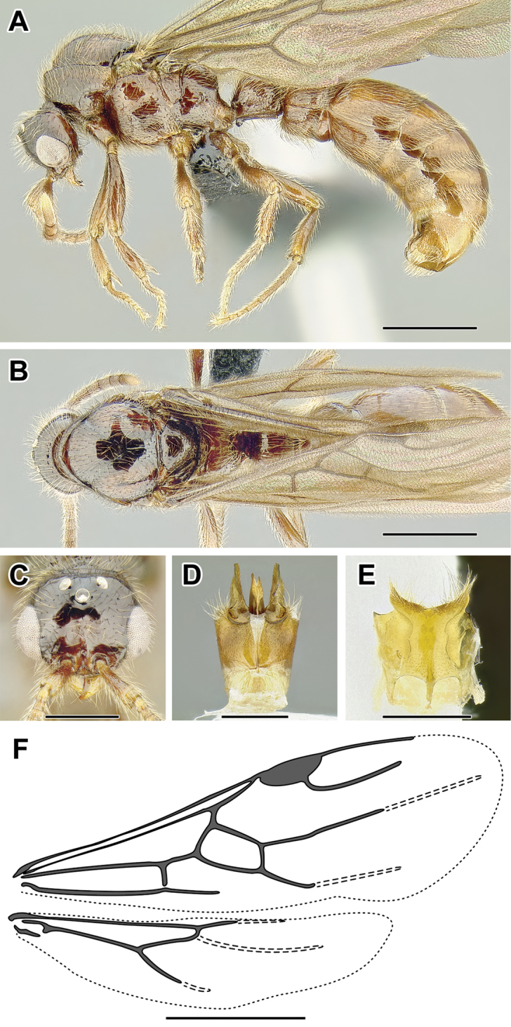 Figure 23.