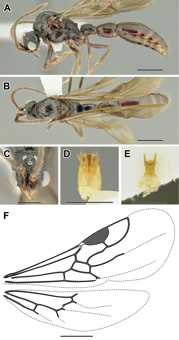 Figure 41.