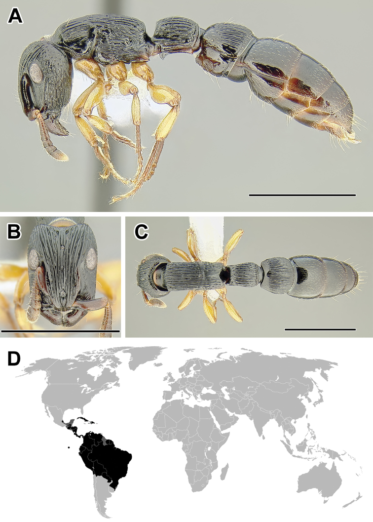 Figure 18.