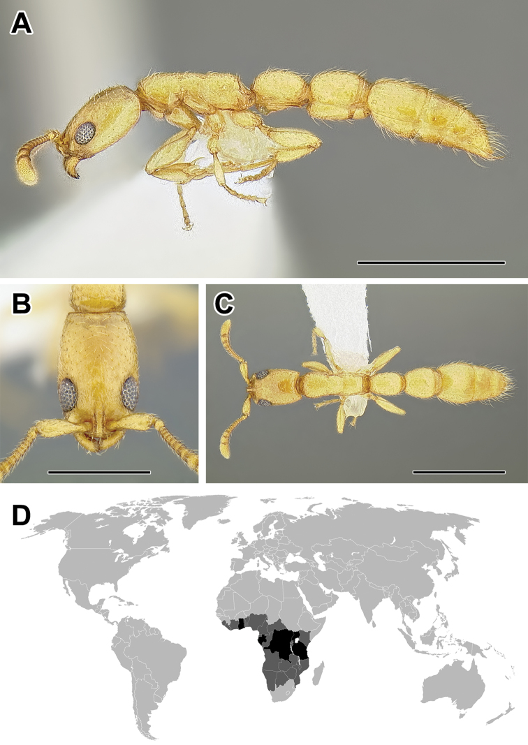 Figure 57.