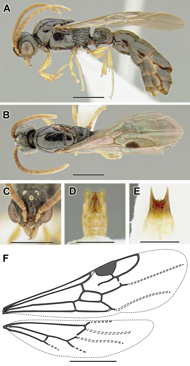 Figure 19.