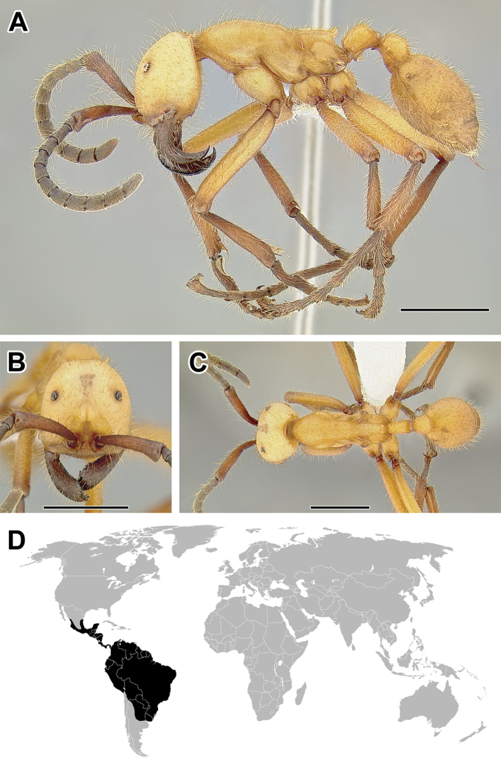 Figure 24.