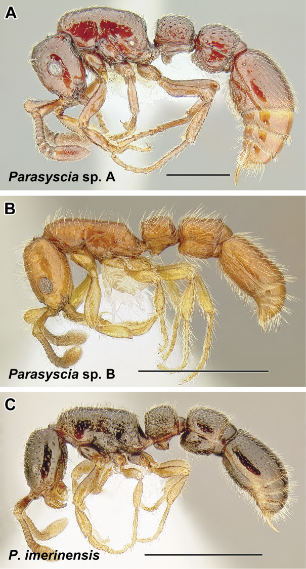 Figure 48.