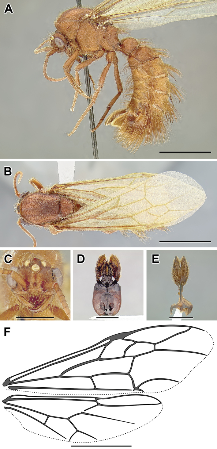 Figure 43.