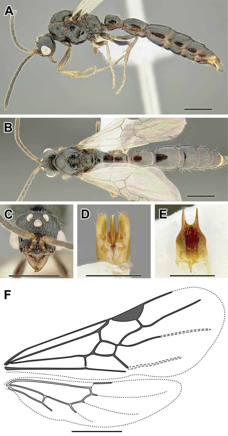 Figure 27.