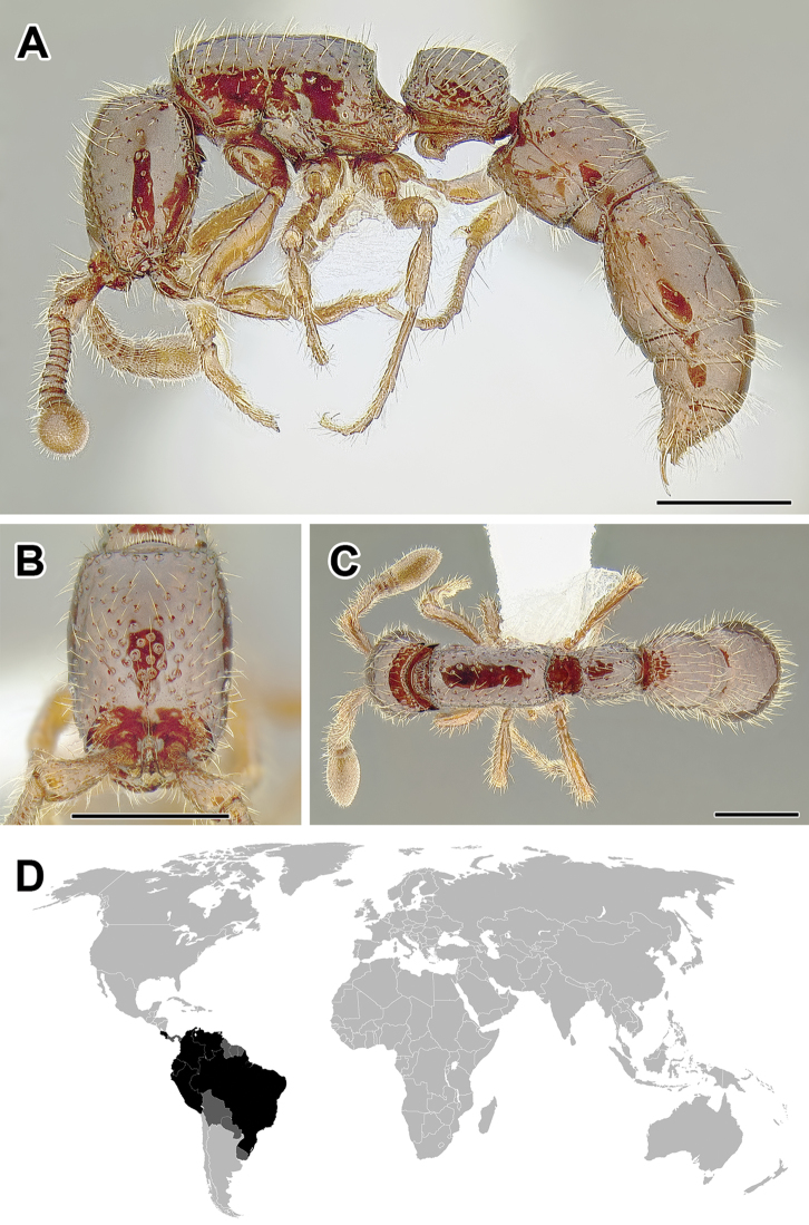 Figure 40.