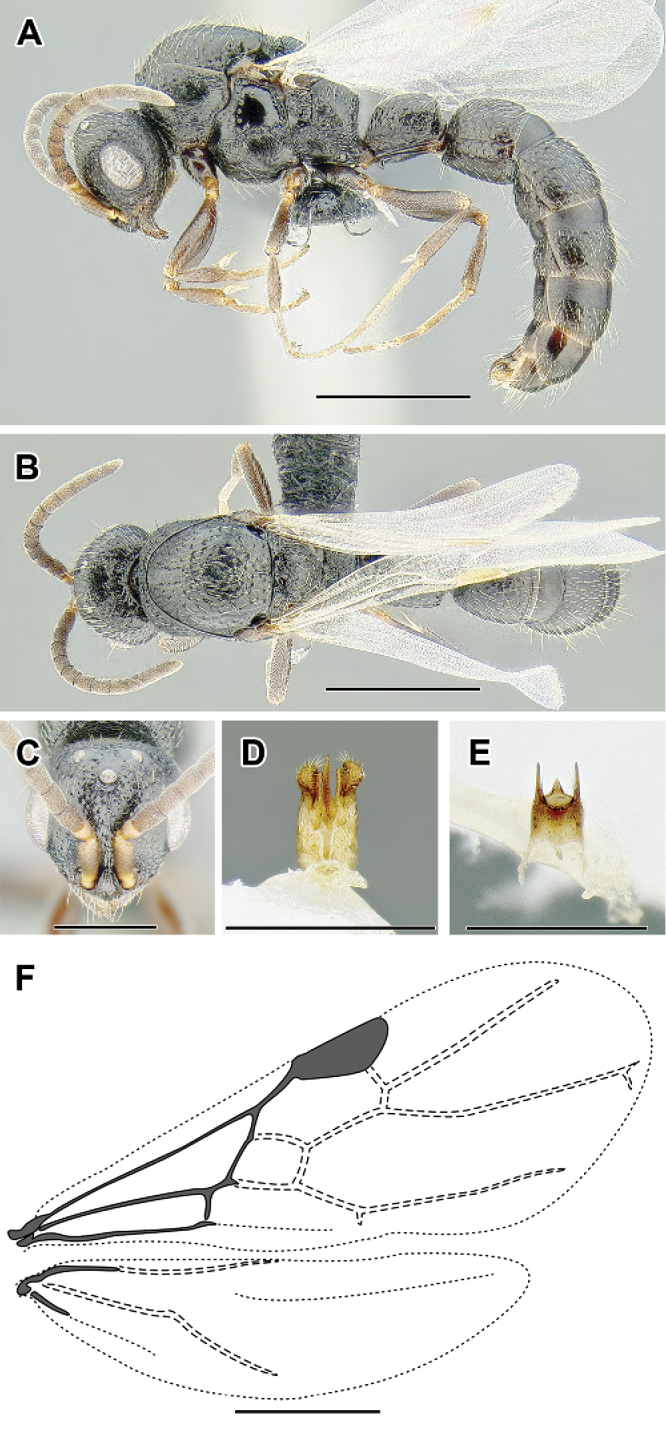 Figure 56.