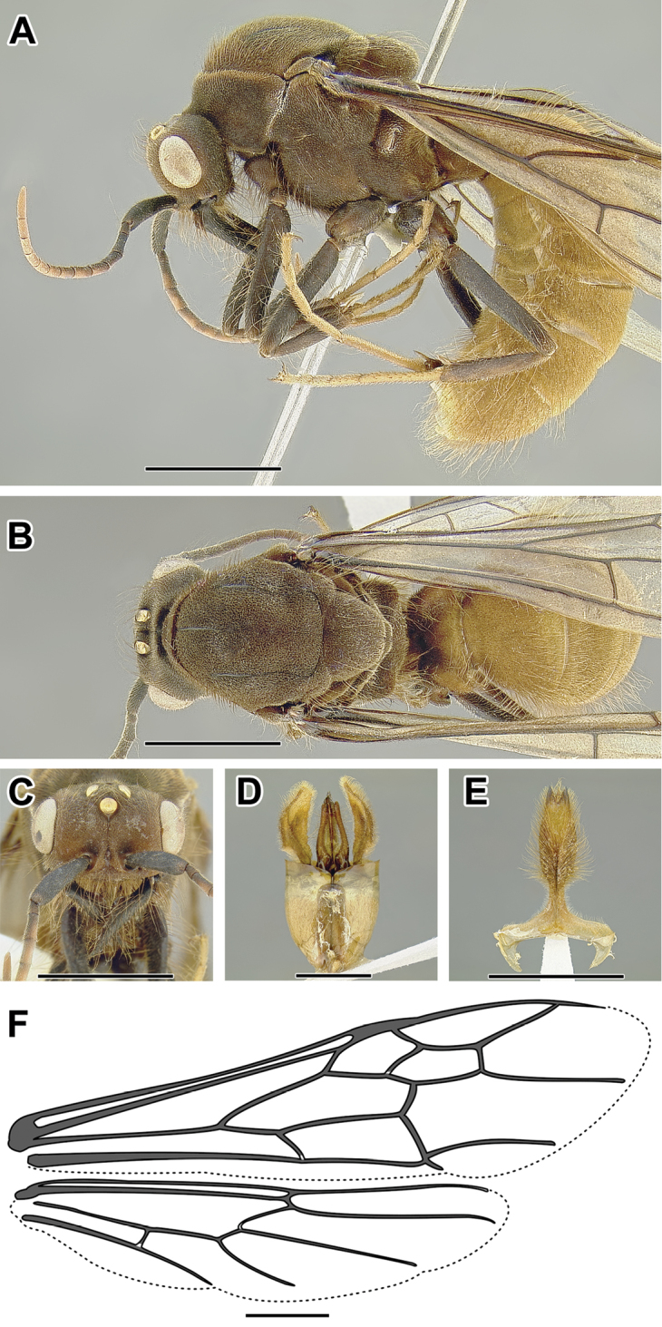 Figure 25.