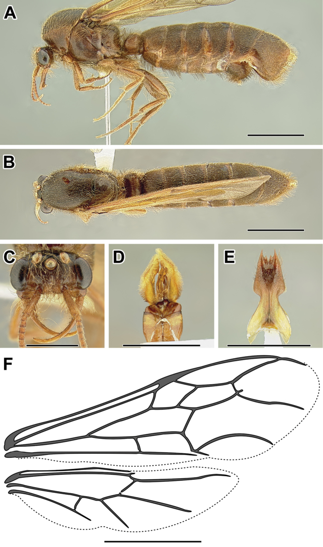 Figure 15.