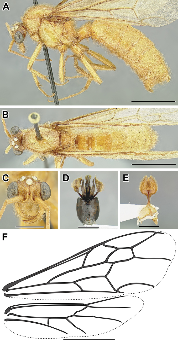 Figure 29.