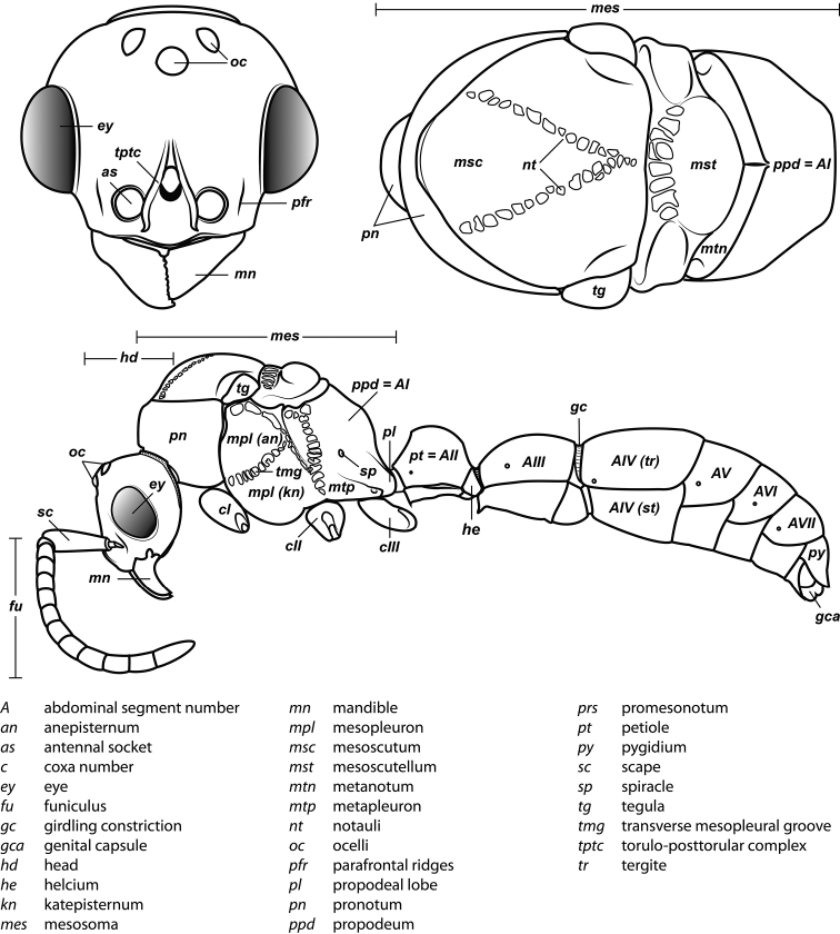 Figure 3.