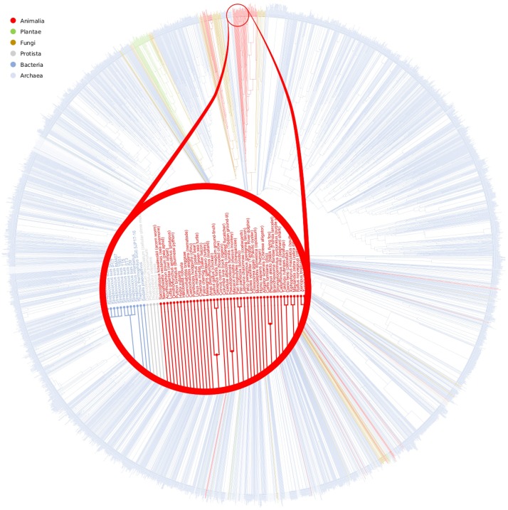 Fig 10