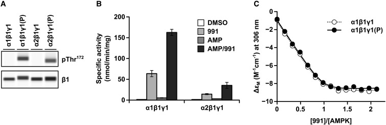 Figure 1.